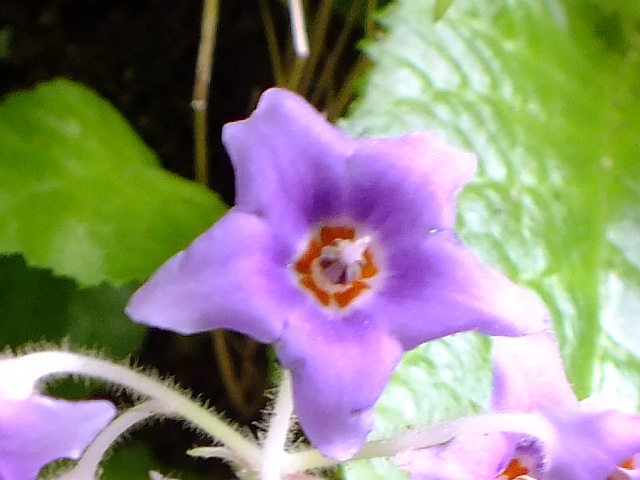 e0145782_9593690.jpg