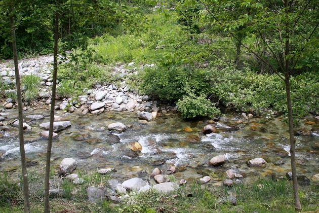 f0238184_231257.jpg