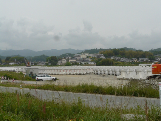 a0272591_837024.jpg