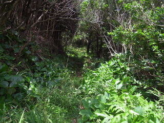 a0137192_1705120.jpg