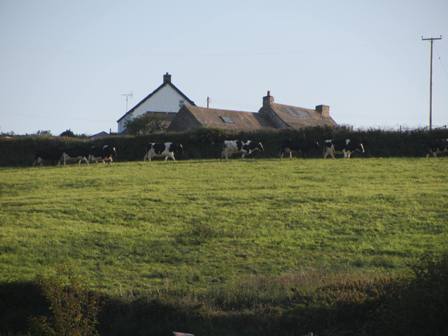 b0110999_1622145.jpg
