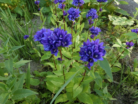a0203003_1941466.jpg