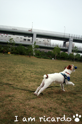 d0150704_23181366.jpg