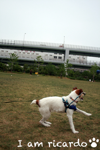 d0150704_2318962.jpg