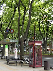 c0248013_16463731.jpg