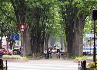 c0248013_1648515.jpg