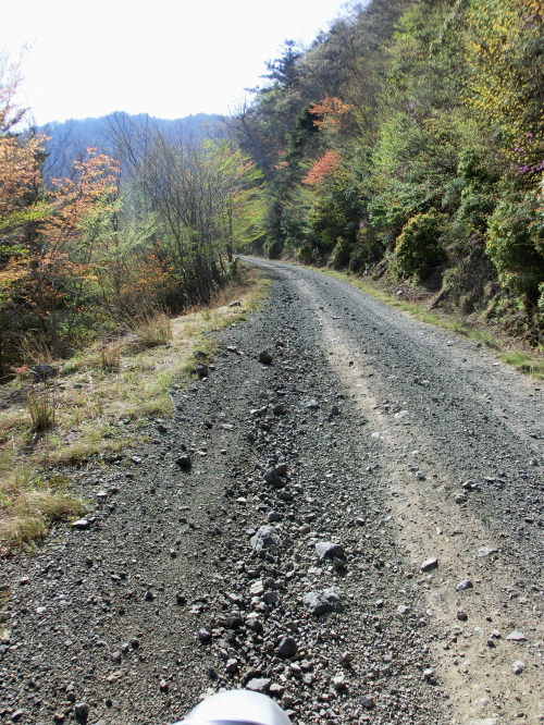 f0248120_21201026.jpg