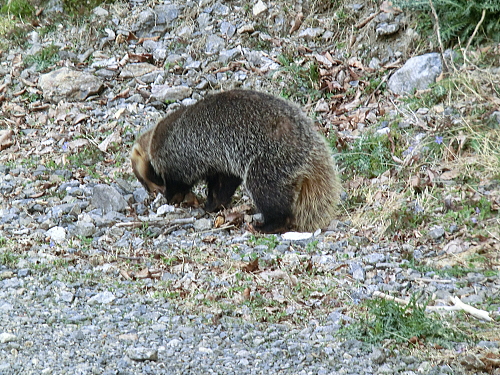 f0248120_21203274.jpg