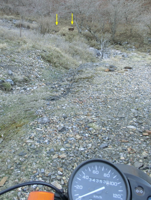 f0248120_21214918.jpg