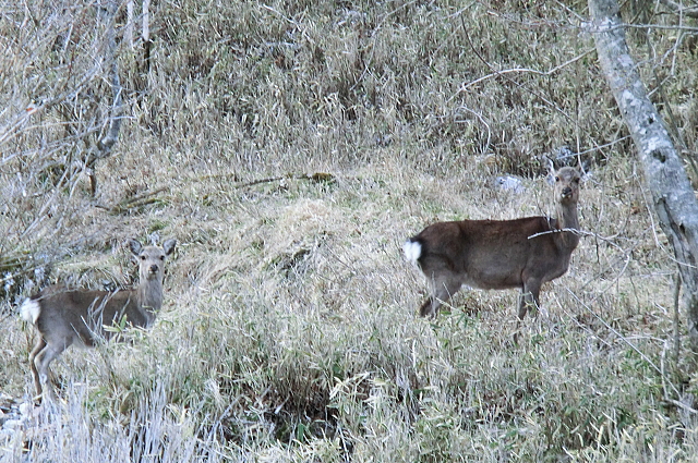 f0248120_2121543.jpg