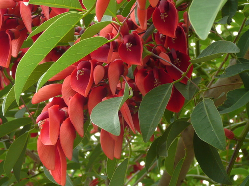 c0009528_2135180.jpg