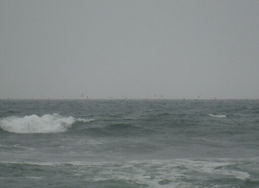 a0284729_17582431.jpg