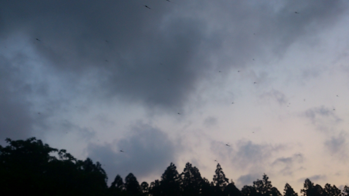 c0133133_1894766.jpg