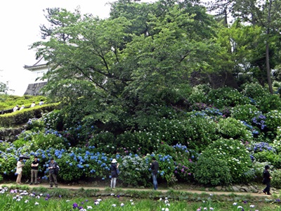 d0037233_9423596.jpg