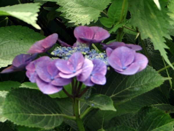 d0037233_9472756.jpg