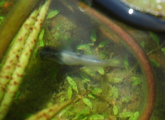 e0097534_17484545.jpg