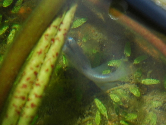 e0097534_17485645.jpg