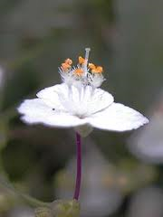 a0245136_11143775.png
