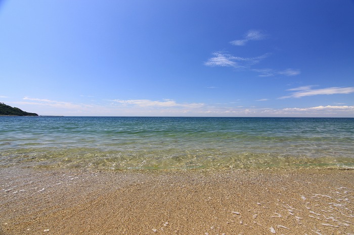 b0168041_15245279.jpg