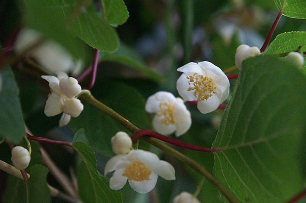 f0214649_11174079.jpg