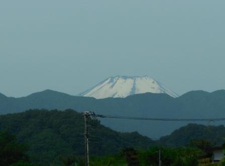 d0118050_17412727.jpg