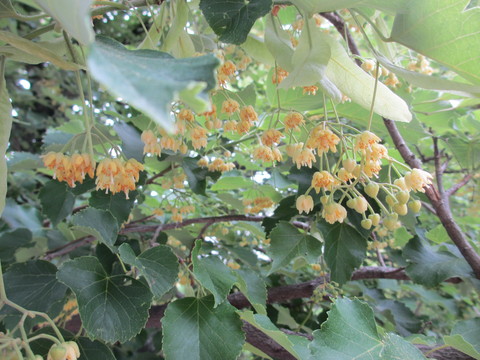 e0325357_22563.jpg