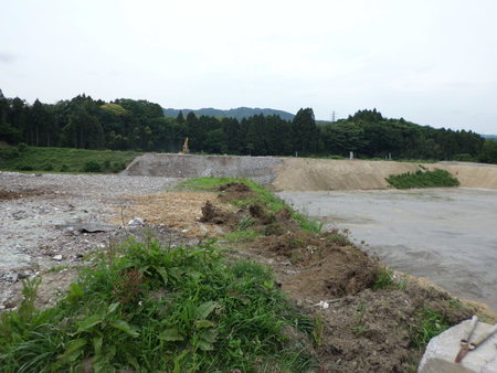 c0064859_1521944.jpg