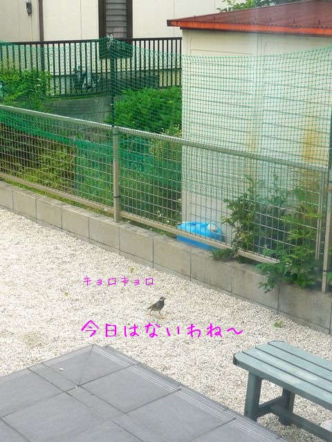 f0177261_2158265.jpg