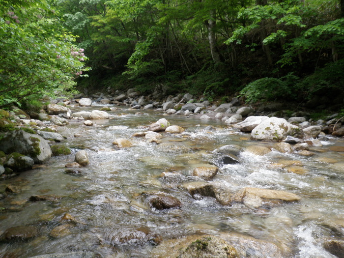 b0120066_1326143.jpg