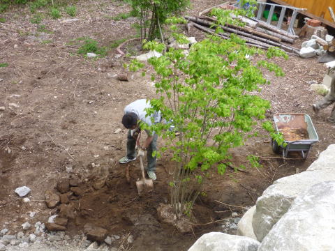 e0161972_972237.jpg
