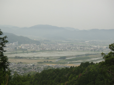 d0182075_556826.jpg