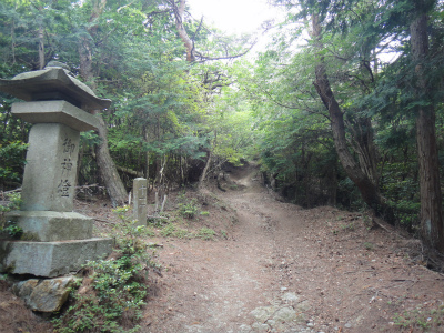 d0182075_557238.jpg