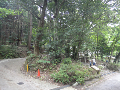 d0182075_6111340.jpg