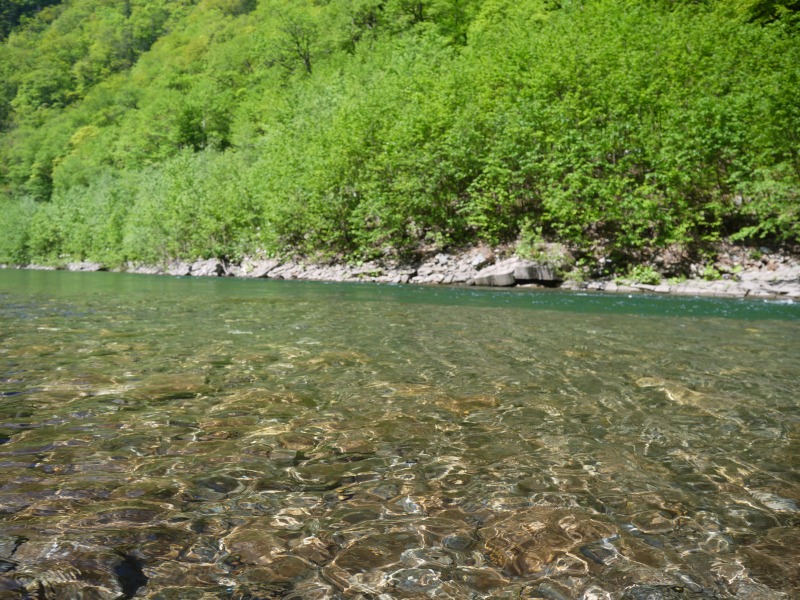 a0250576_23281814.jpg