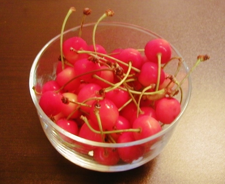 e0126576_1458523.jpg