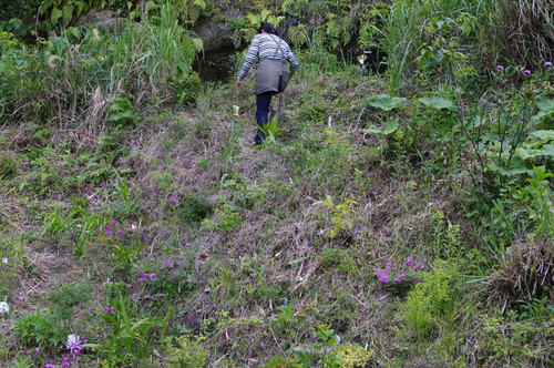 f0215179_0392878.jpg