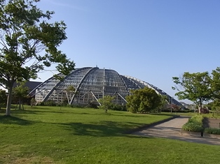 a0258087_1944632.jpg