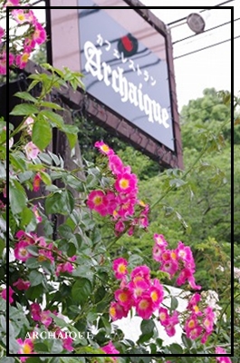 c0207890_0371252.jpg
