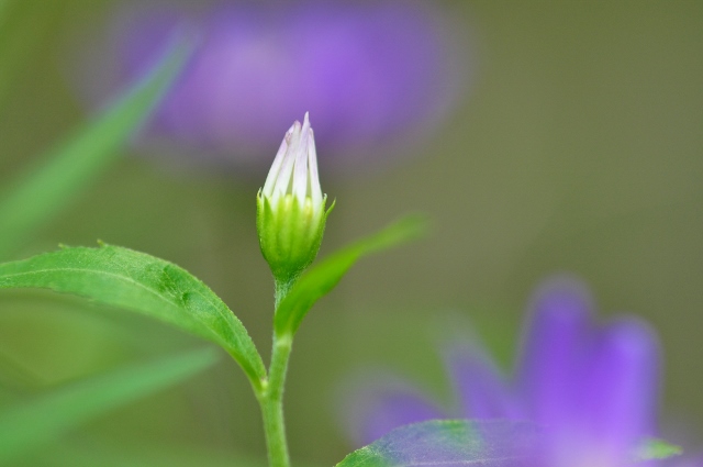 c0246290_23525325.jpg