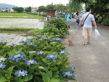 e0181891_793063.jpg