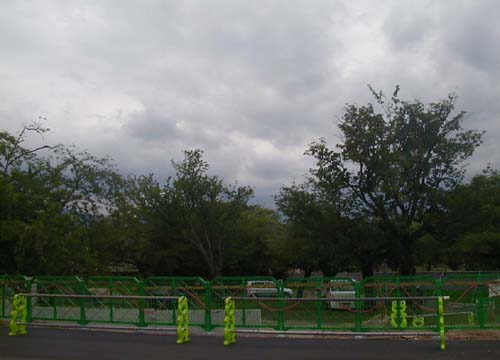 d0053294_191296.jpg