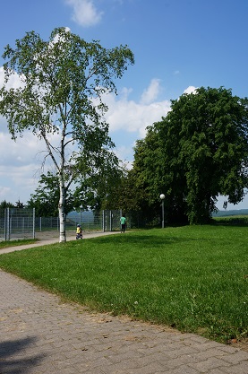 a0248797_192404.jpg