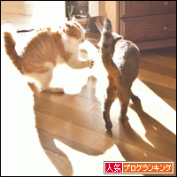 人気ブログランキングへ