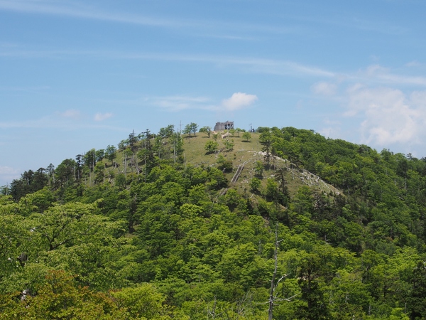 b0039898_1043048.jpg