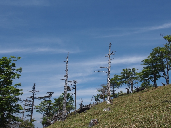 b0039898_104552.jpg