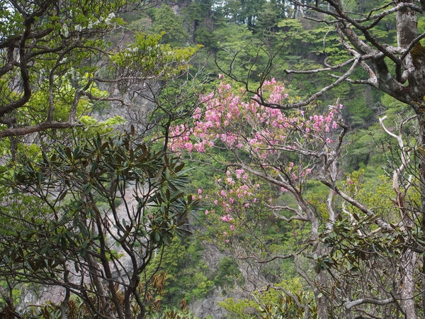 b0039898_1051268.jpg