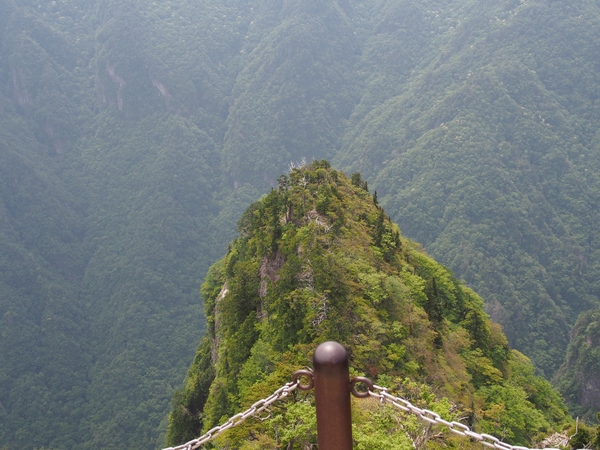 b0039898_1052776.jpg