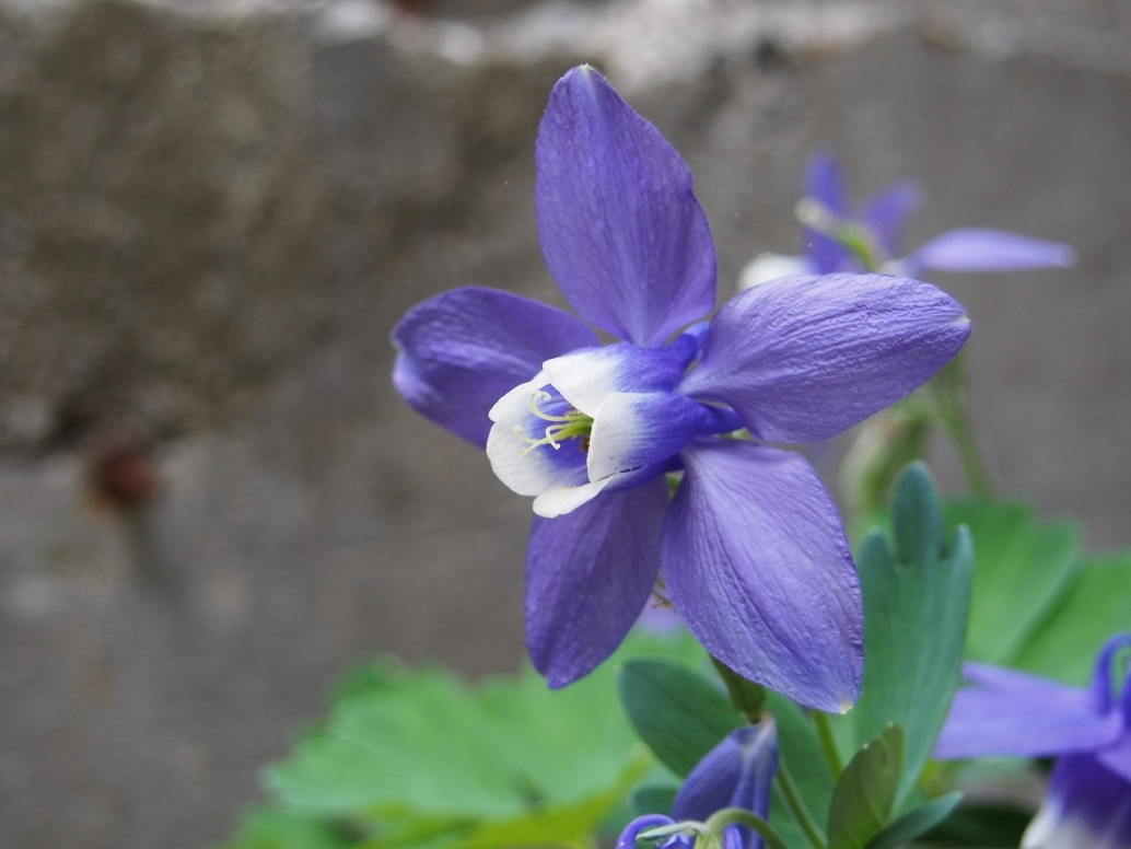 b0039898_9333084.jpg
