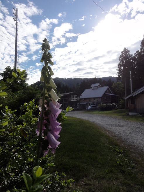 a0061599_7253175.jpg