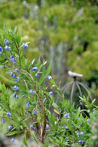 f0176499_21123491.jpg